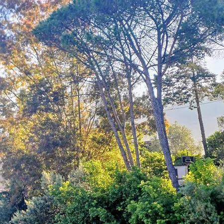 Tra Mare E Collina C'e Belmare *