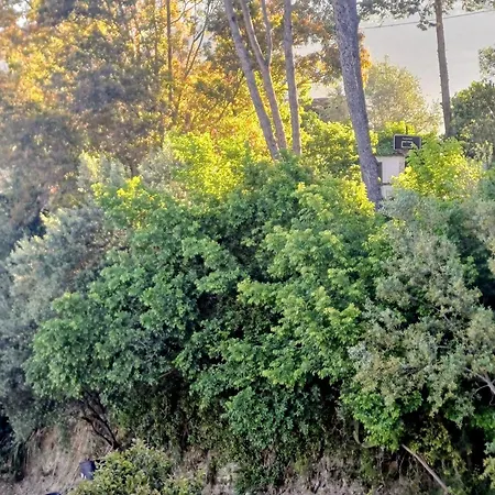 Tra Mare E Collina C'e Belmare Daire